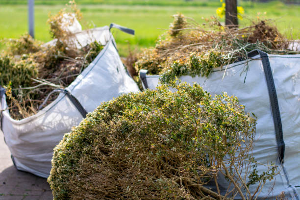 Reliable La Homa, TX Junk Removal Services Solutions